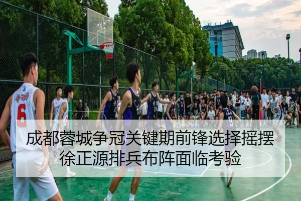 成都蓉城争冠关键期前锋选择摇摆徐正源排兵布阵面临考验